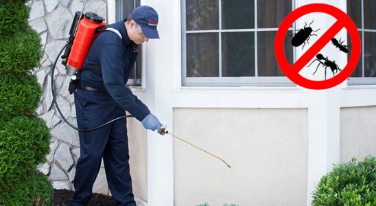 Tire Böcek ve Haşere İlaçlama böcek ilaçlama ve haşere kontrolü — ilaclama-tr.com